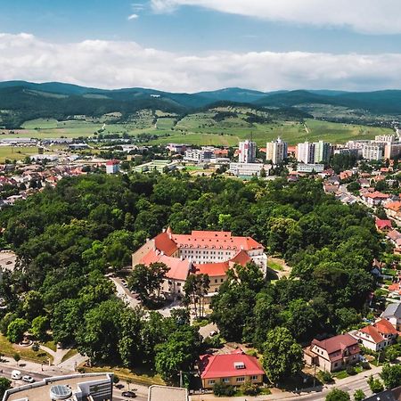 Palace Art Hotel Pezinok Exteriér fotografie